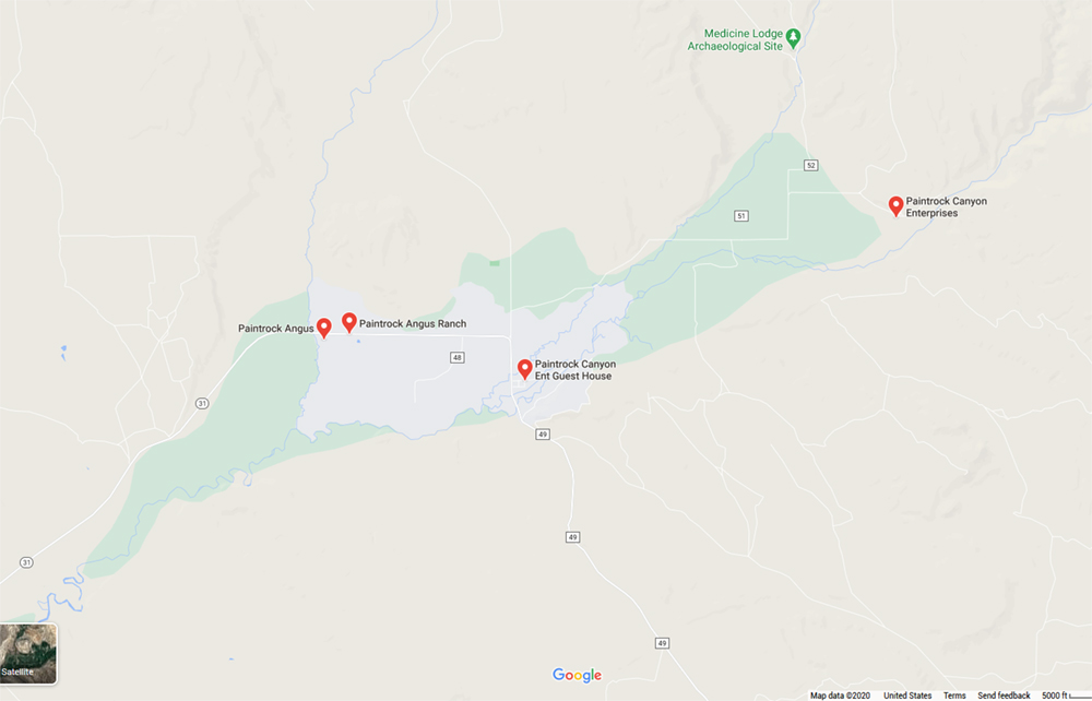 Area of Paintrock Dino Dig